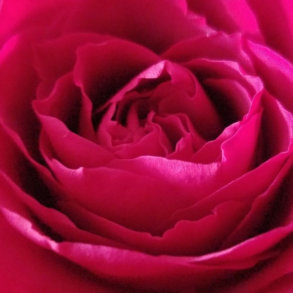 Meet your Posher, Lyn